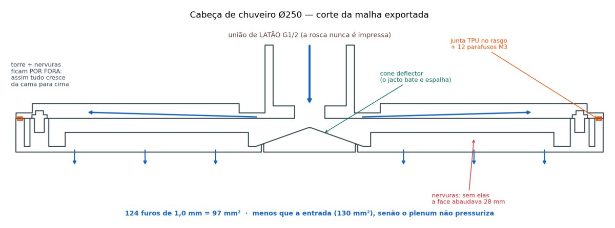Corte técnico de uma cabeça de chuveiro
